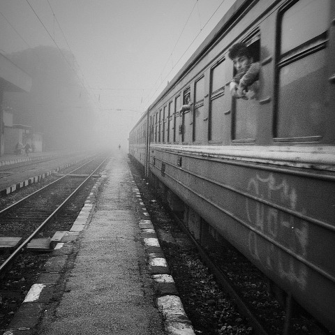 Compagni di viaggio